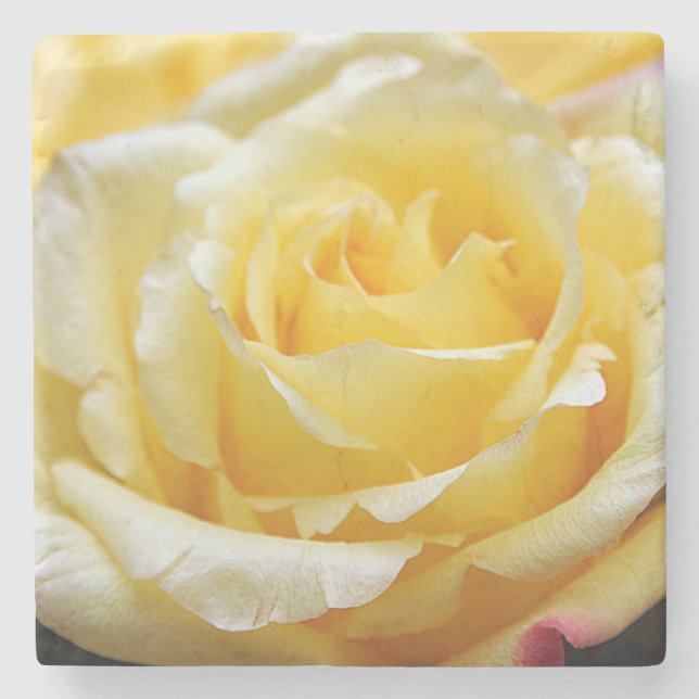 Yellow rose stone coaster (Front)