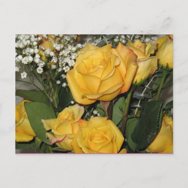 Yellow Rose Sun Postcard (Front)