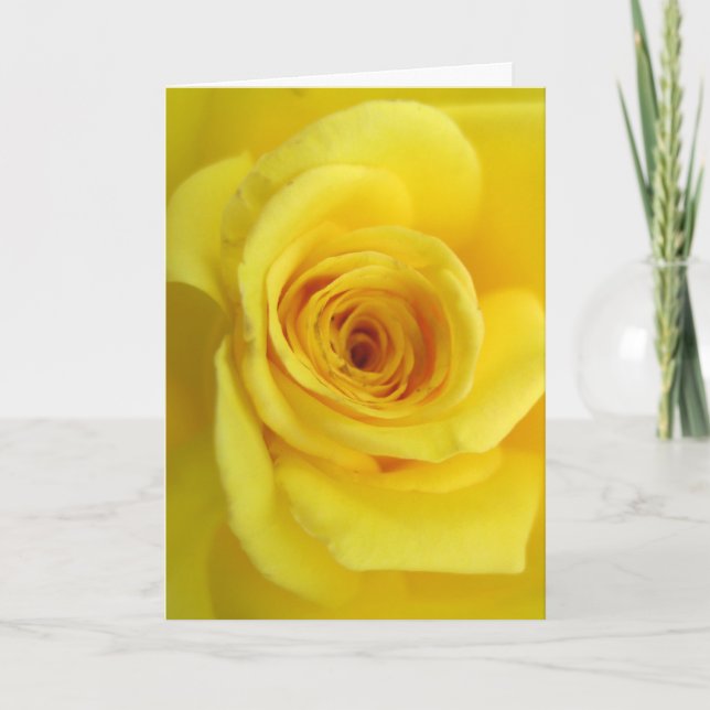 Yellow Rose Sympathy Card (Front)