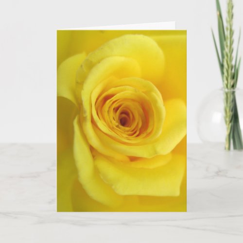 Yellow Rose Sympathy Card