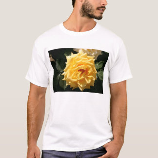 Yellow Rose T-Shirt