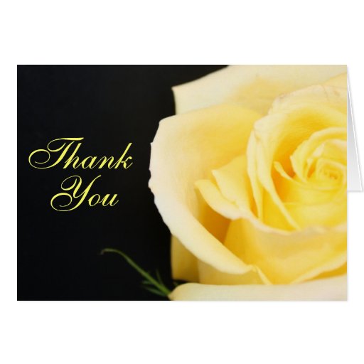 Yellow Rose Thank You Card | Zazzle