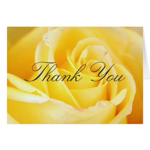 Yellow Rose Thank You Cards | Zazzle