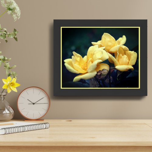 Yellow Rose Trio Framed Framed Art