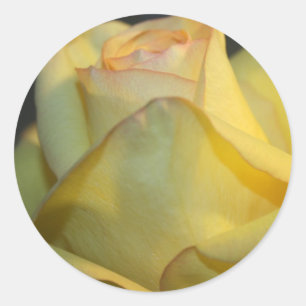 Yellow Rose Wedding Sticker