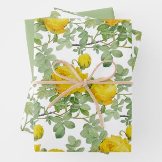 Yellow Rose with Green Leaves 