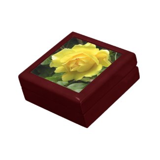 Yellow Rose Wood Gift Box