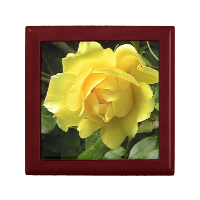 Yellow Rose Wood Gift Box (Front)