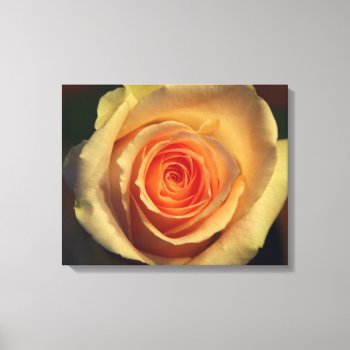 Yellow Rose Wrapped Canvas by lynnsphotos at Zazzle