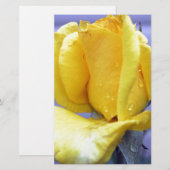 Yellow Rosebud (Front/Back)