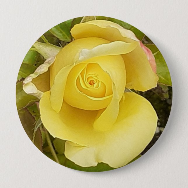 Yellow Rosebud Badge Button (Front)