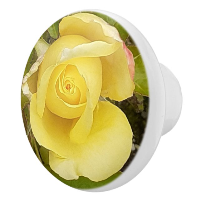 Yellow Rosebud  Ceramic Knob (Right)