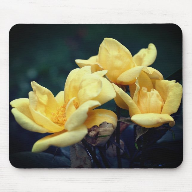 Yellow Rosebud Flowers Mouse Pad (Front)
