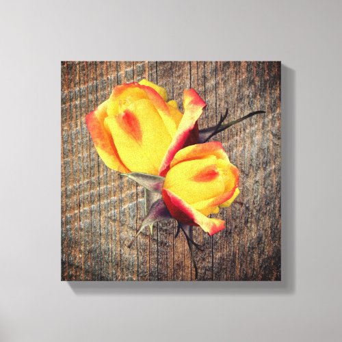 Yellow Rosebud Flowers On Barnboard  Canvas Print