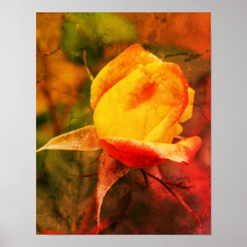 Yellow Rosebud With Red Highlights Abstract Poster