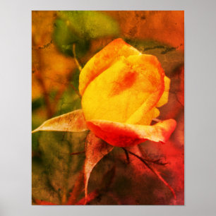 Yellow Rosebud With Red Highlights Distressed Art Poster
