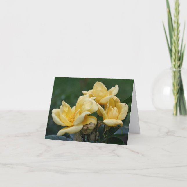Yellow Rosebuds Flower Photography  Note Card (Front)