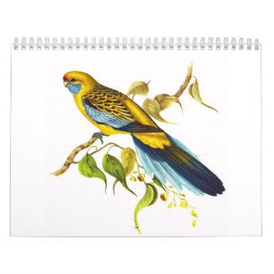 Yellow Rosella Calendar