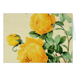 Yellow Roses