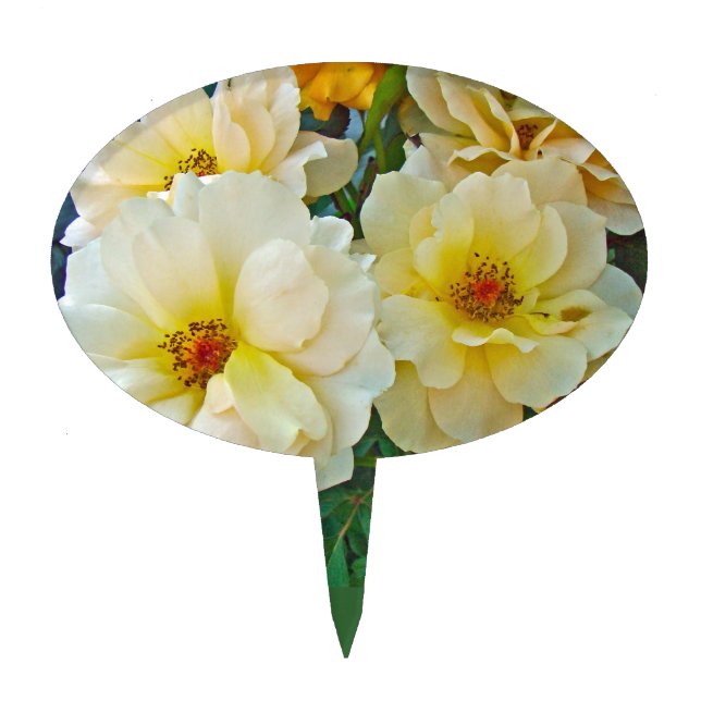 Yellow Roses Cake Topper (Front)