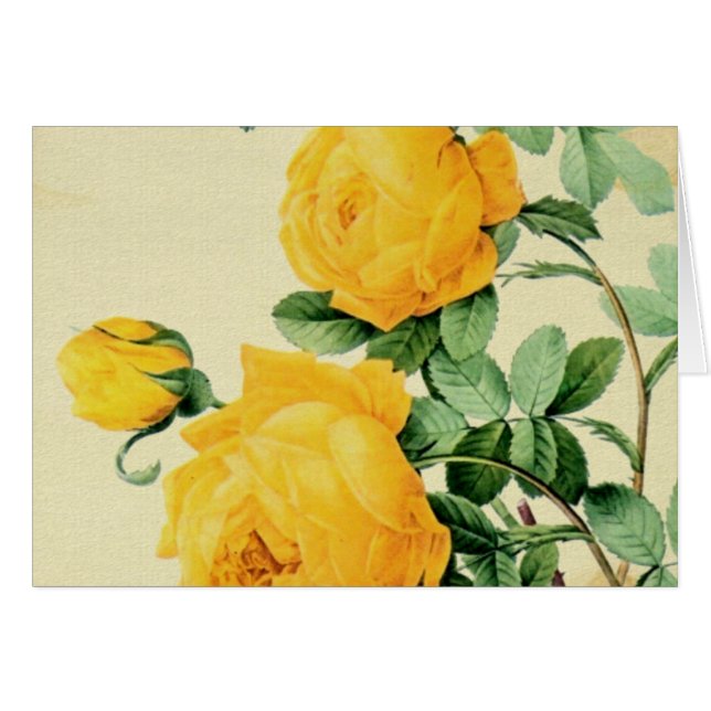 Yellow Roses Cards (Front Horizontal)