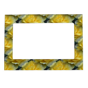 Yellow Roses Flower Magnetic Frame