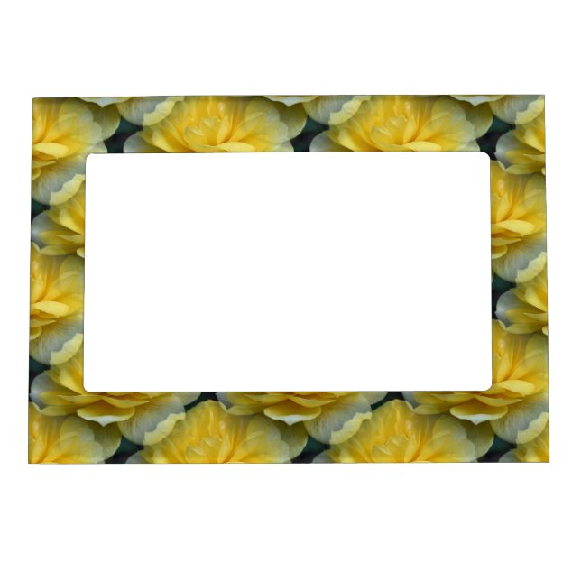 Yellow Roses Flower Magnetic Frame (Front)