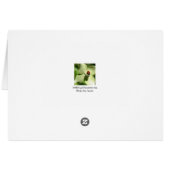 Yellow Roses Flower Photography Card (Back Horizontal)