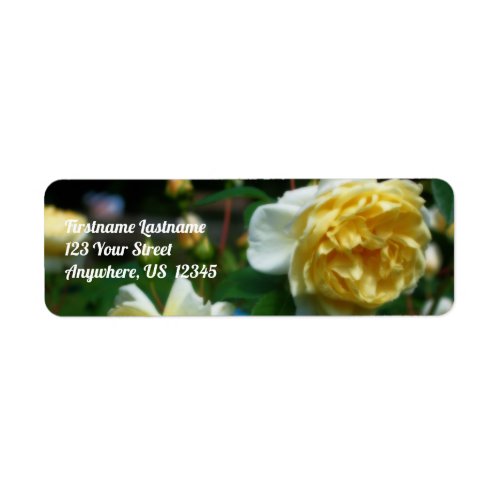 Yellow Roses In Bloom Orton Effect Address Label