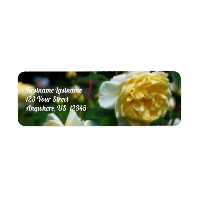 Yellow Roses In Bloom Orton Effect Address Label (Front)