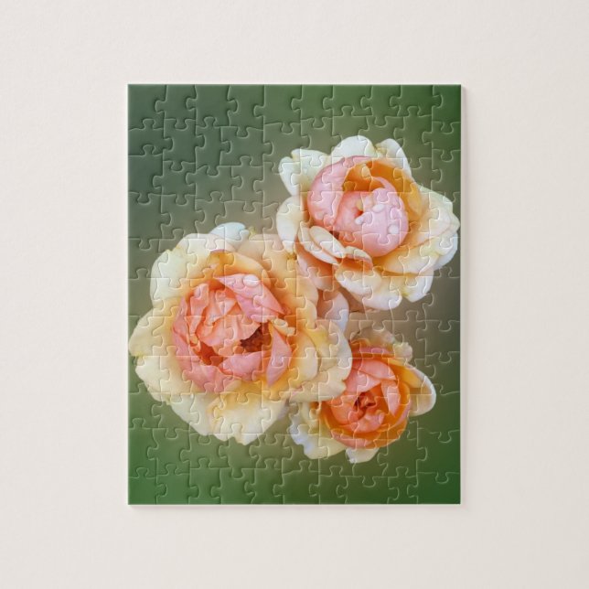 yellow roses jigsaw puzzle (Vertical)