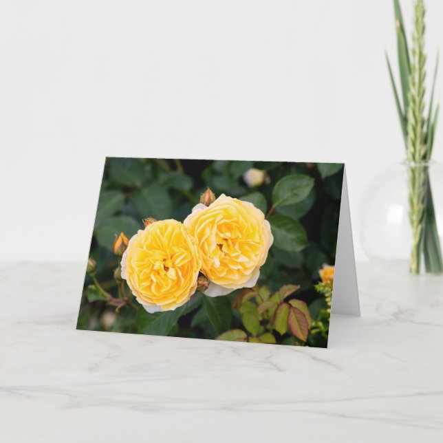 Yellow Roses Note  Card (Front)
