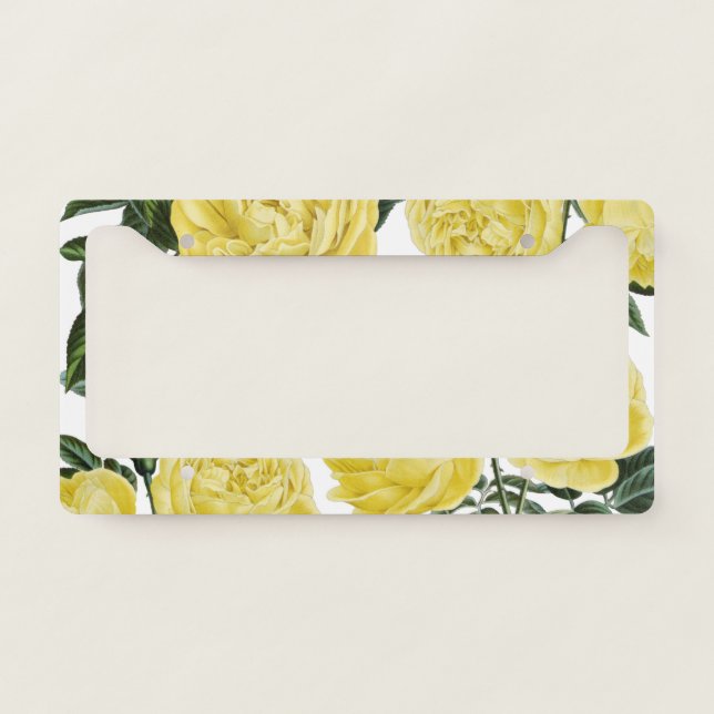 yellow roses on white license plate frame (Front)