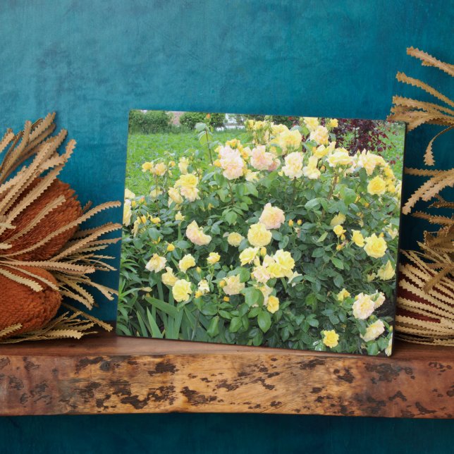 Yellow Roses Plaque (Side)