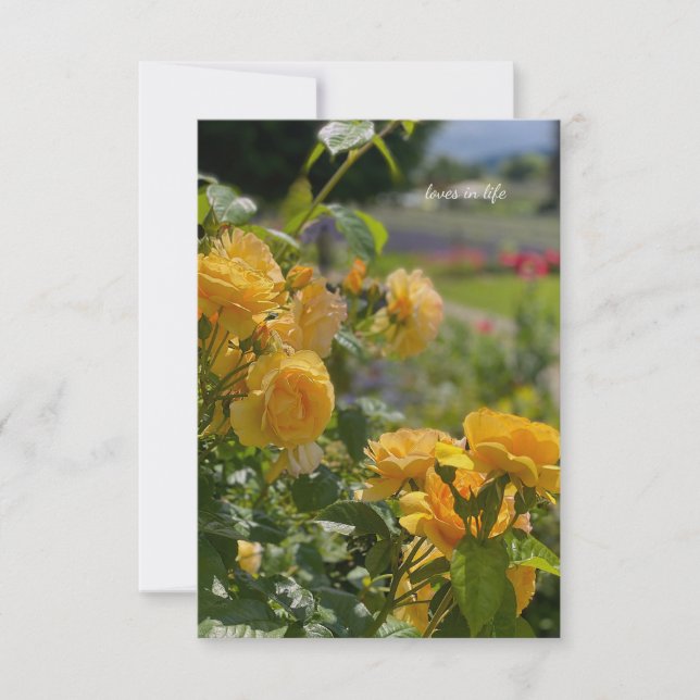 Yellow Roses, Red & Purple Garden Note Card (Front)