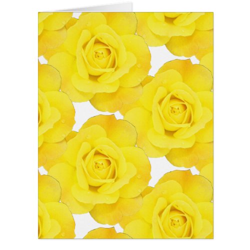 Yellow Roses White Gold Floral Flowers Patterns 