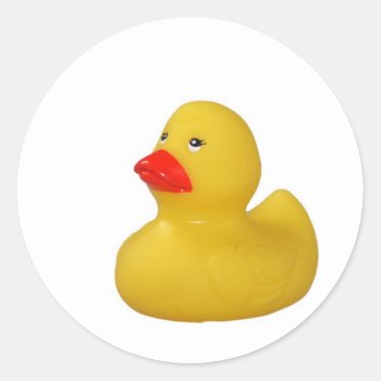 Yellow Rubber Duck Cute Stickers  Gift Idea Classic Round Sticker by roughcollie at Zazzle