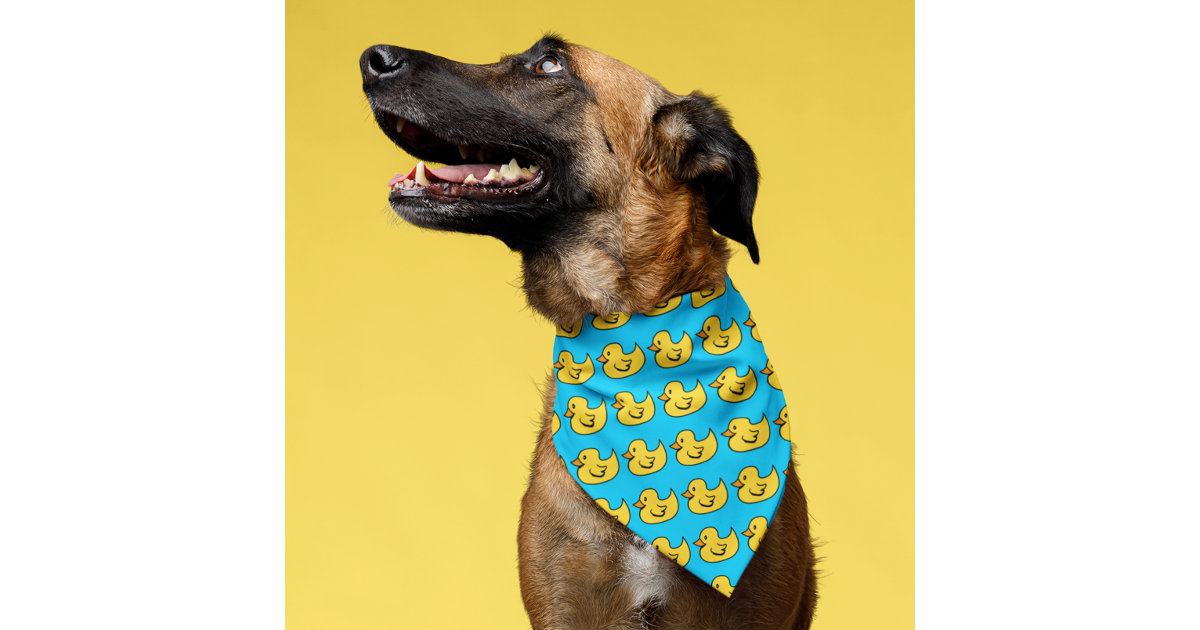 Ravens Dog Bandana / Dog Bandanna / Over Collar / Slip-on / 