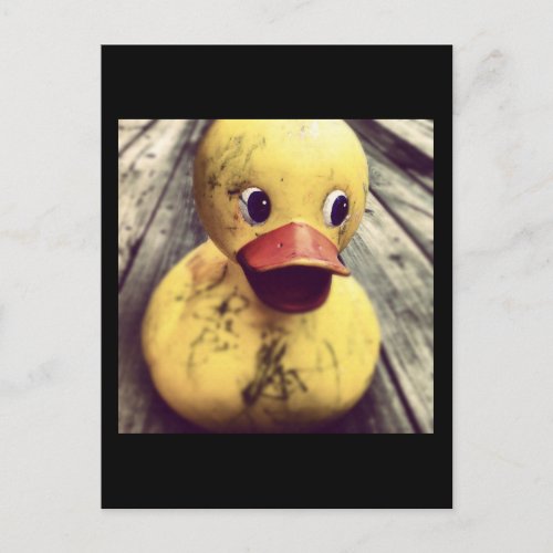 Yellow Rubber Ducky Needs a Bath Postcard