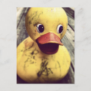 Yellow Rubber Ducky Needs a Bath! Postcard
