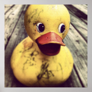 Yellow Rubber Ducky Needs a Bath! Poster
