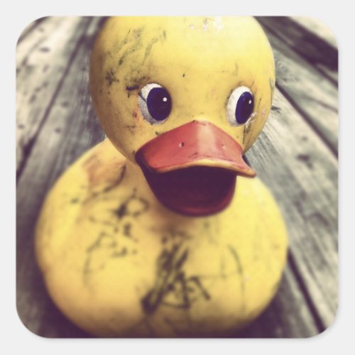 Yellow Rubber Ducky Needs a Bath Square Sticker