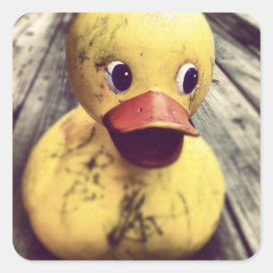 Yellow Rubber Ducky Needs a Bath! Square Sticker