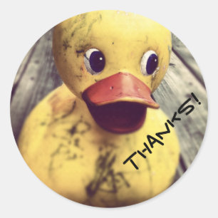 Yellow Rubber Ducky Thanks! Classic Round Sticker