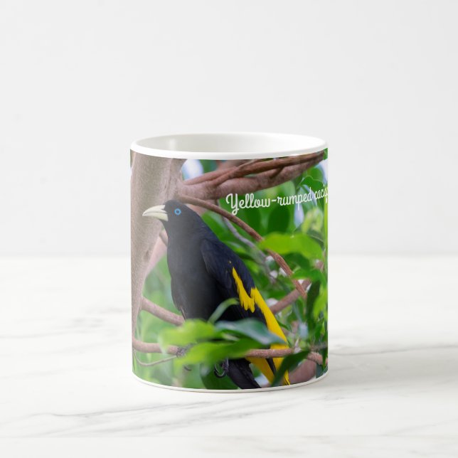 Yellow-rumped cacique coffee mug (Center)