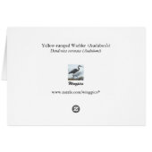 Yellow-rumped Warbler Cards (Back Horizontal)