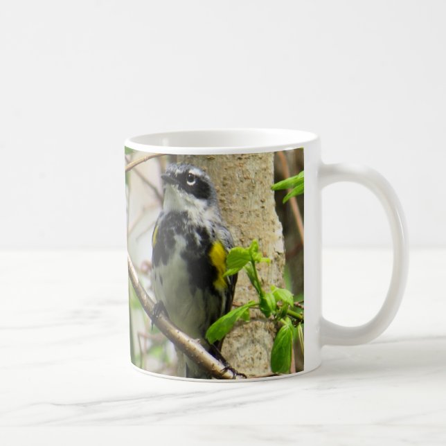 Yellow-rumped Warbler Coffee Mug (Right)
