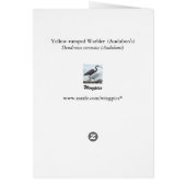Yellow-rumped Warbler II Cards (Back)