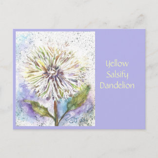 Yellow Salsify Dandelion Post Card
