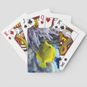 Yellow Saltwater Tang Fish Poker Cards